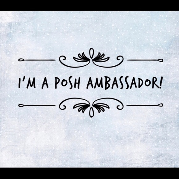 🫣*****PLEASE READ!!******POSH AMBASSADOR**SMOKE /PET FREE HOME. - Picture 4 of 6